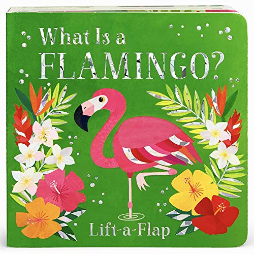 What Is A Flamingo                      [CLOTH               ]