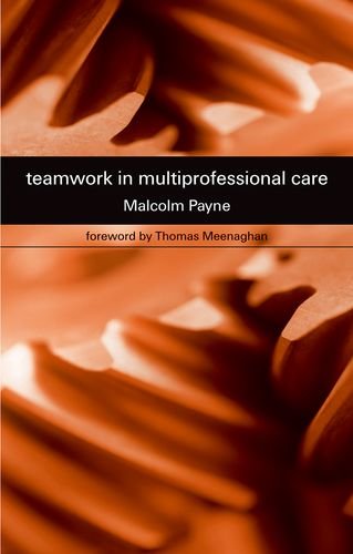 Teamwork in Multiprofessional Care [Paperback]