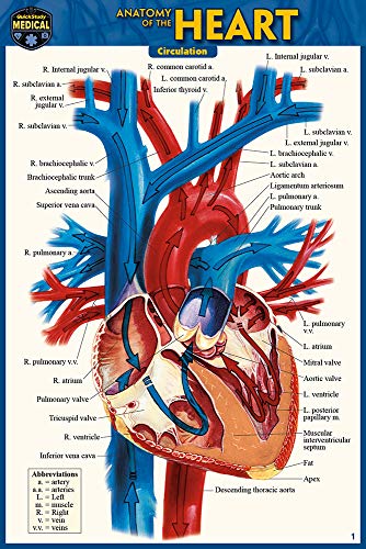 Anatomy of the Heart (Pocket-Sized Edition - 4x6 inches) [Fold-out book or cha]
