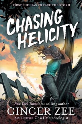 Chasing Helicity Chasing Helicity-Chasing Helicity, Book 1 [Hardcover]