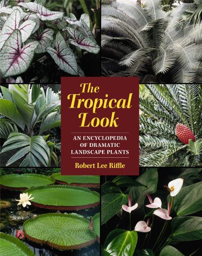 The Tropical Look An Encyclopedia Of Dramatic Landscape Plants [Paperback]