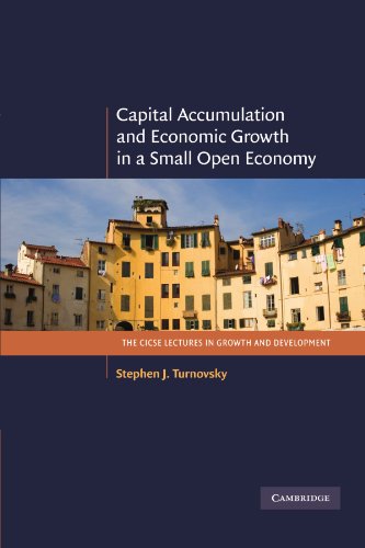 Capital Accumulation and Economic Growth in a Small Open Economy [Paperback]