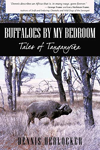 Buffaloes by My Bedroom [Paperback]