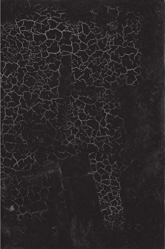 Black Square Malevich and the Origin of Suprematism [Hardcover]
