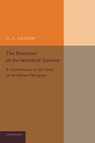 The Evolution of the Vertebral Column A Contribution to the Study of Vertebrate [Paperback]