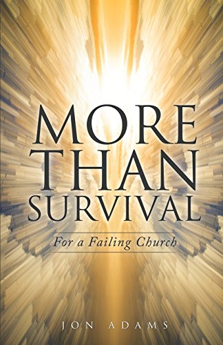 More Than Survival [Paperback]