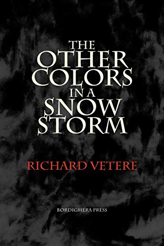 The Other Colors in a Snow Storm [Paperback]