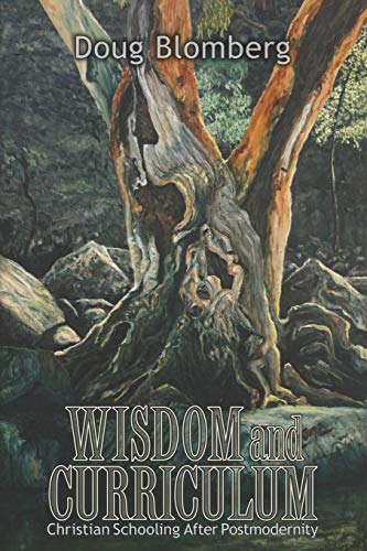 Wisdom And Curriculum Christian Schooling After Postmodernity [Paperback]