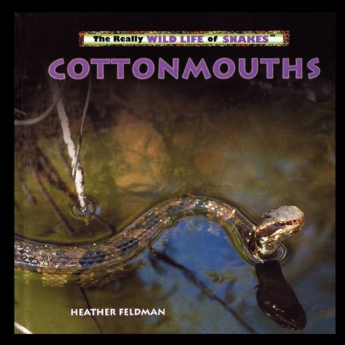 Cottonmouths [Paperback]