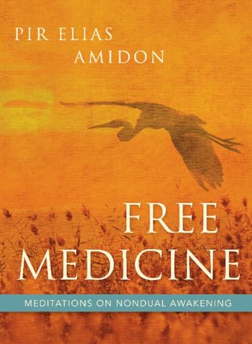 Free Medicine Meditations on Nondual Awakening [Paperback]