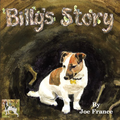 Billy's Story [Paperback]