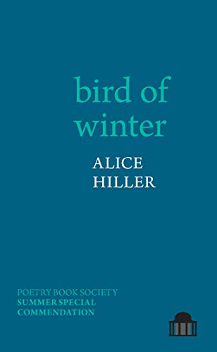 bird of winter [Paperback]