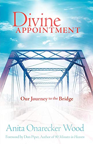 Divine Appointment [Paperback]