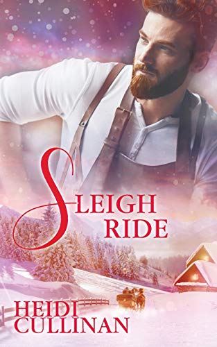 Sleigh Ride (minnesota Christmas) [Paperback]