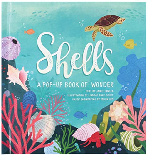 Shells A Pop-Up Book of Wonder [Hardcover]