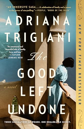 The Good Left Undone A Novel [Paperback]