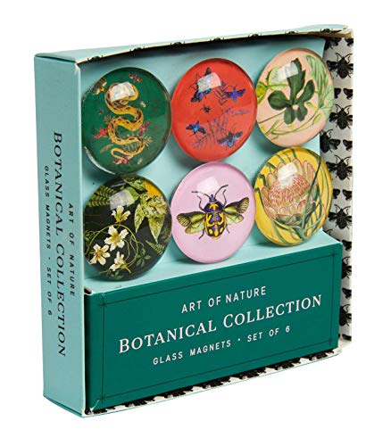Art of Nature Botanical Glass Magnet Set (Set of 6) [General merchandise]