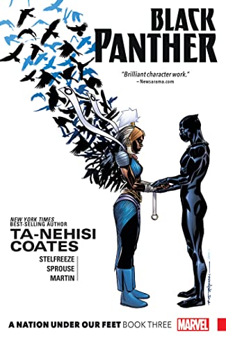 BLACK PANTHER A NATION UNDER OUR FEET BOOK 3 [Paperback]