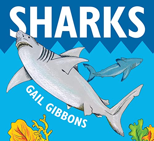 Sharks [Board book]