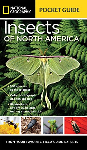 National Geographic Pocket Guide to Insects of North America [Paperback]
