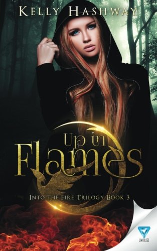 Up In Flames (into The Fire) (volume 3) [Paperback]