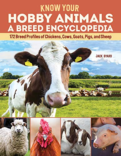 Know Your Hobby Animals A Breed Encyclopedia 172 Breed Profiles of Chickens, C [Paperback]