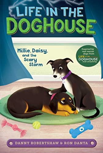 Millie, Daisy, and the Scary Storm [Paperback]