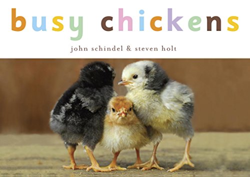 Busy Chickens [Board book]