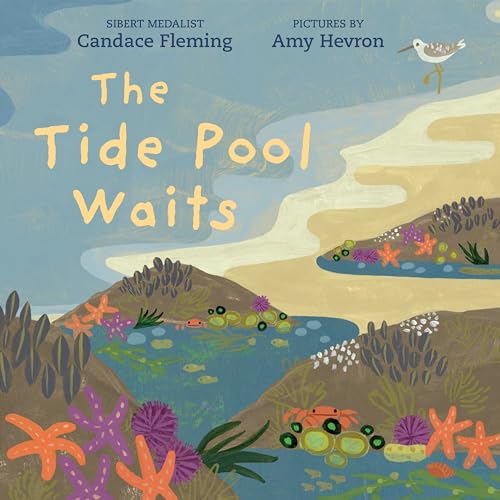 The Tide Pool Waits [Hardcover]
