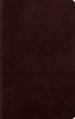 Large Print Personal Size Bible-ESV [Unknown]