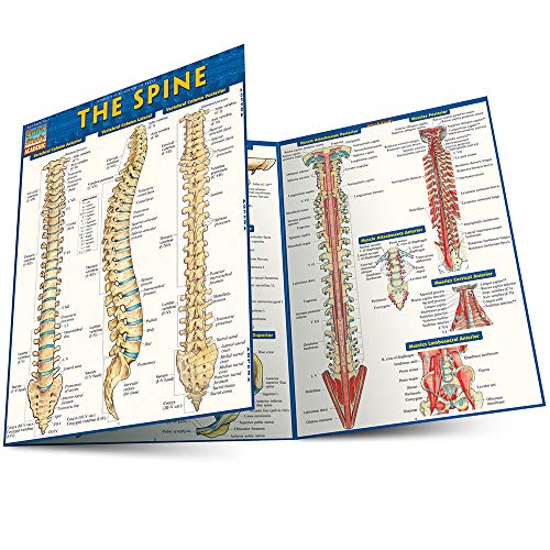 The Spine [Fold-out book or cha]