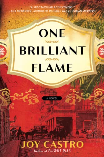 One Brilliant Flame                      [TRADE PAPER         ]