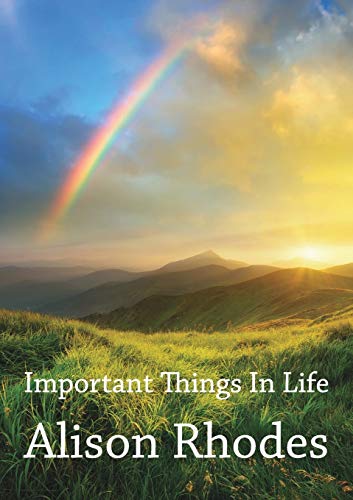 Important Things in Life [Paperback]