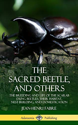 Sacred Beetle, and Others  The Breeding and Life of the Scarab Dung Beetles Th [Hardcover]