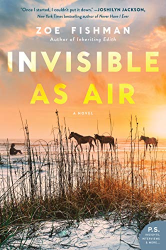 Invisible as Air A Novel [Paperback]