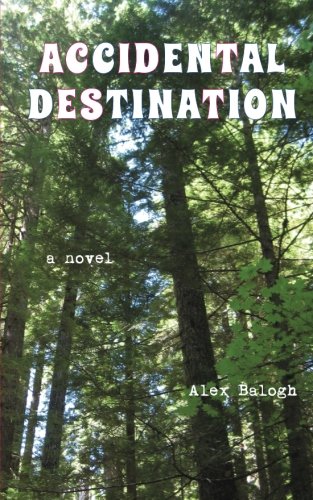 Accidental Destination [Paperback]