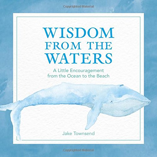 Wisdom from the Waters A Little Encouragement from the Ocean to the Beach [Hardcover]