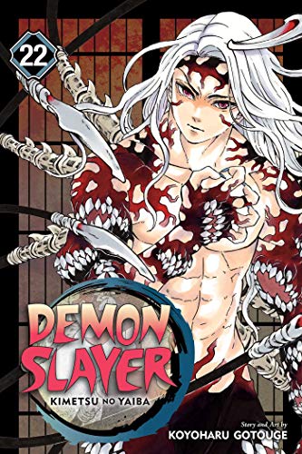 Demon Slayer Kimetsu no Yaiba, Vol. 22 [Paperback]