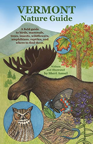 Vermont Nature Guide A Field Guide To Birds, Mammals, Trees, Insects, Wildflowe [Paperback]