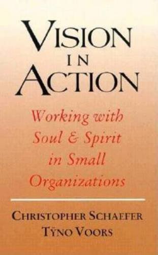 Vision In Action (spirituality And Social Renewal) [Paperback]