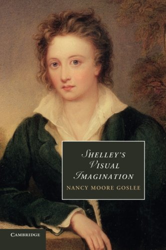 Shelley's Visual Imagination [Paperback]
