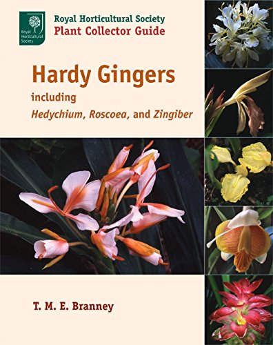 Hardy Gingers Including Hedychium, Roscoea, And Zingiber [Paperback]
