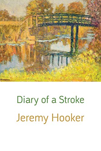 Diary Of A Stroke [Paperback]