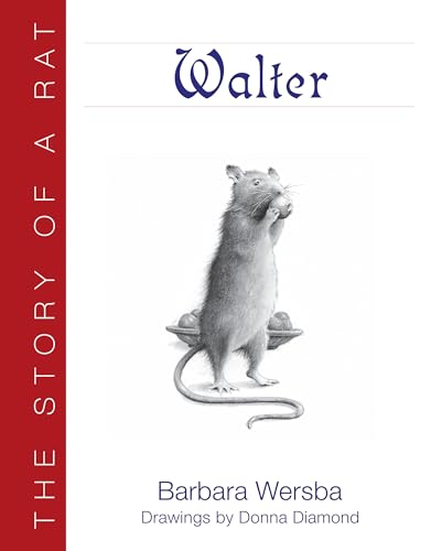 Walter The Story of a Rat [Paperback]
