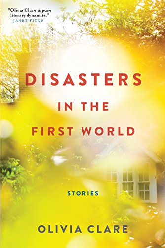 Disasters in the First World [Paperback]