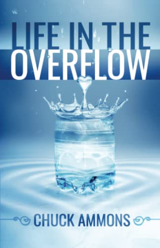 Life In The Overflow [Paperback]