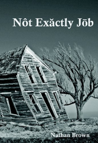 Not Exactly Job [Paperback]