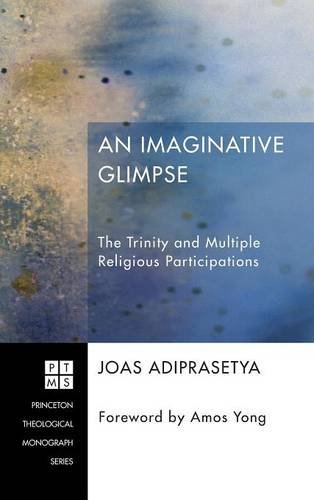 An Imaginative Glimpse [Hardcover]