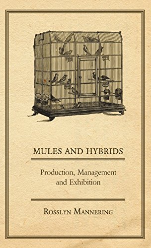 Mules and Hybrids - Production, Management, and Exhibition [Hardcover]