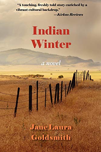 Indian Winter A Novel [Paperback]